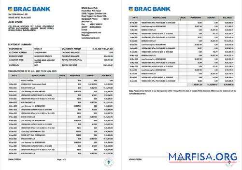 Realistic Bangladesh BRAC bank account statement word sample